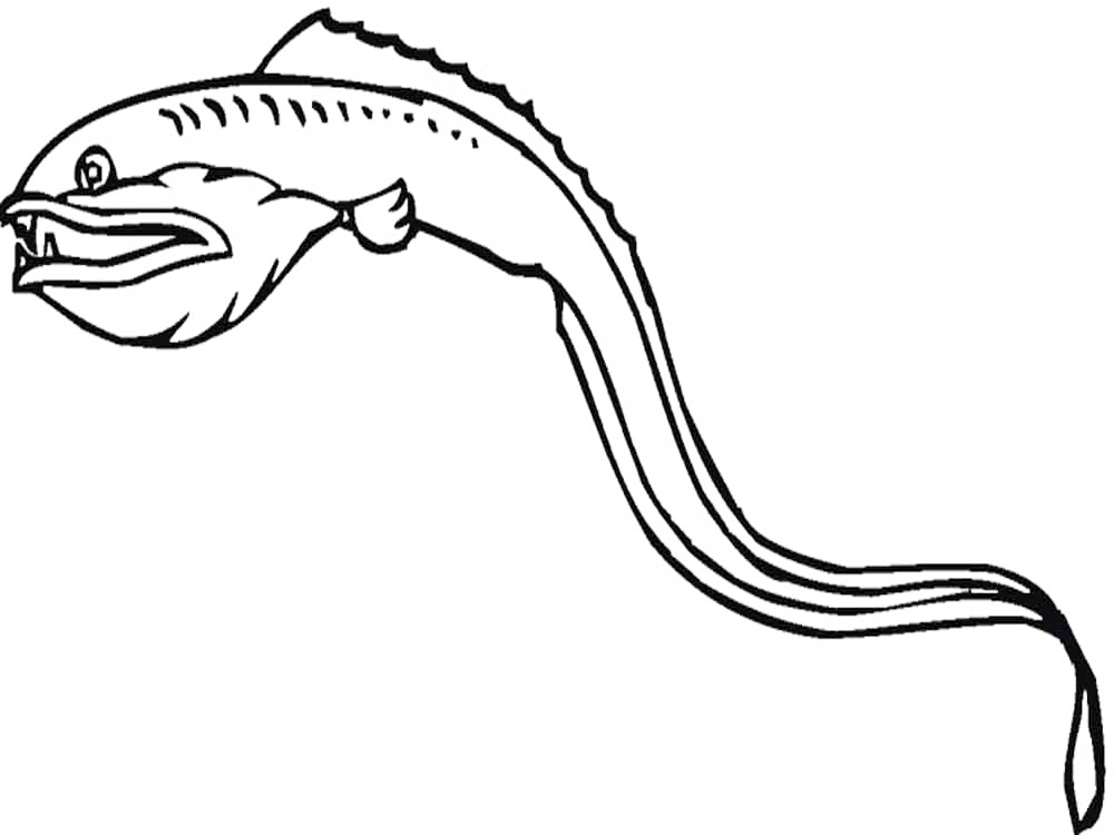 Simple Eel Coloring Pages