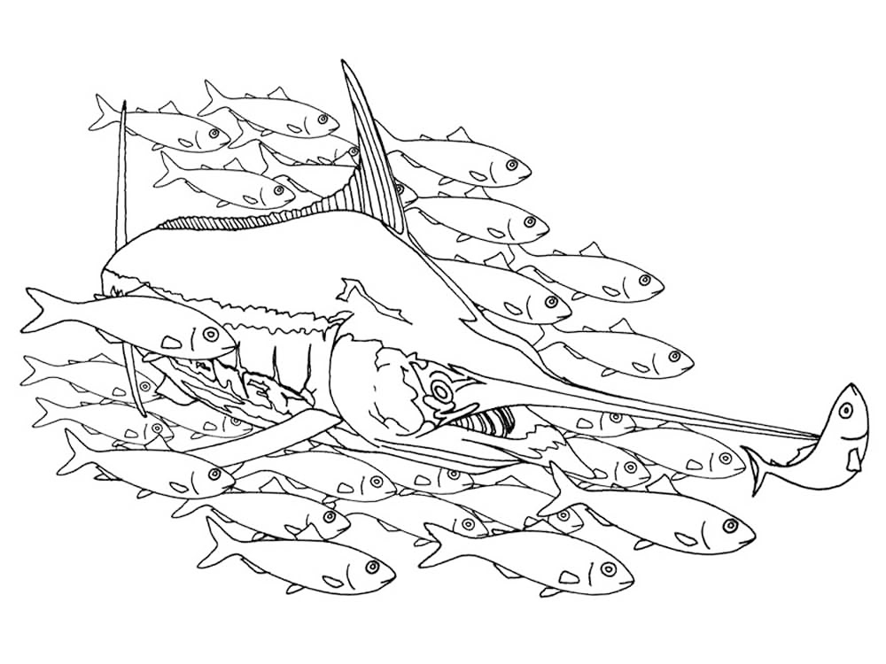 Fish And Swordfish Coloring Page