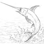 Jumping Swordfish Coloring Page