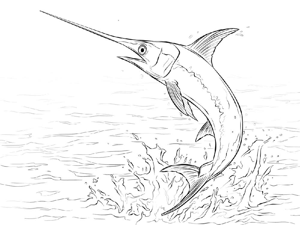 Jumping Swordfish Coloring Page