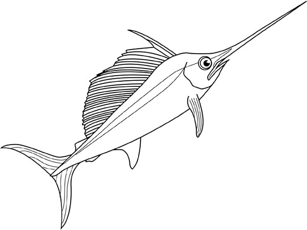 Swordfish Coloring Page