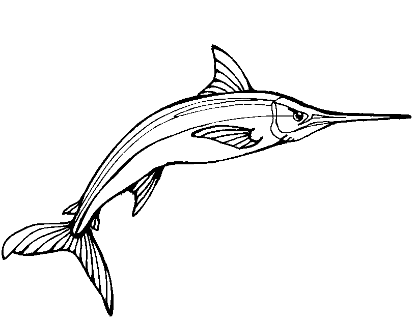 Swordfish Coloring Pages