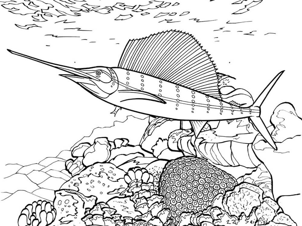 Swordfish In A Reef Coloring Page