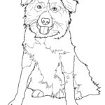 Cute Border Collie Coloring Page