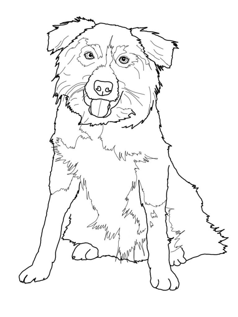 Cute Border Collie Coloring Page