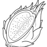 Dragon Fruit Coloring Page