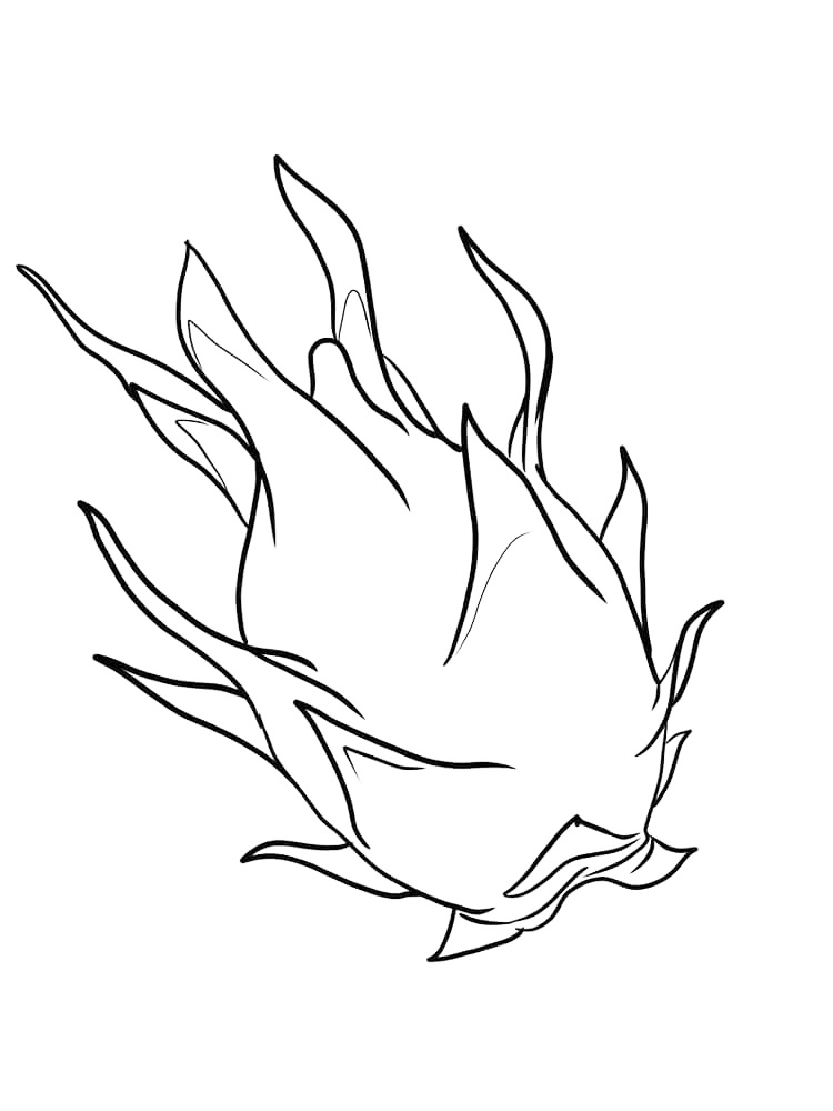 Easy Dragon Fruit Coloring Pages
