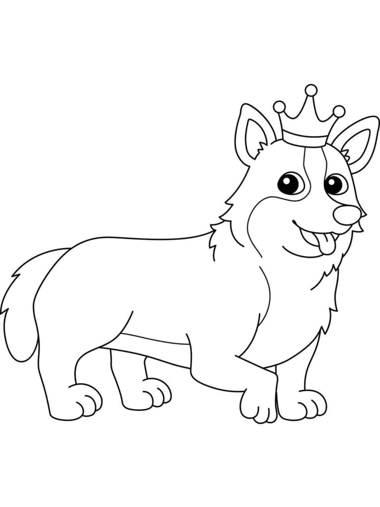 Royal Border Collie Coloring Page