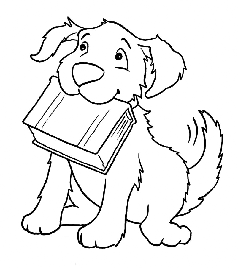 Smart Border Collie Coloring Page