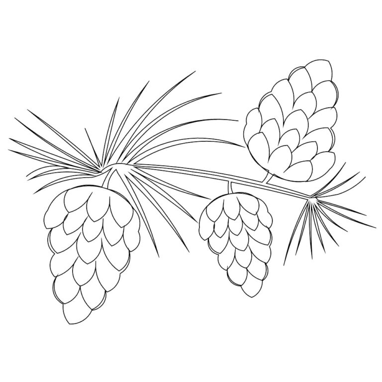 Pine Cone Coloring Pages - Best Coloring Pages For Kids