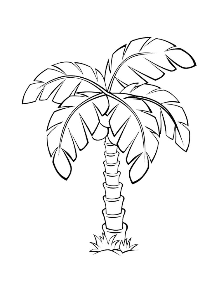 Cartoon Palm Tree Coloring Page