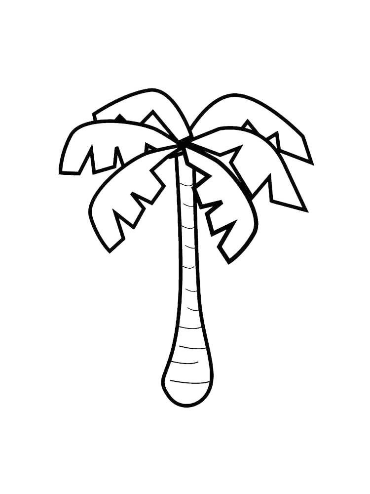 Easy Palm Tree Coloring Page