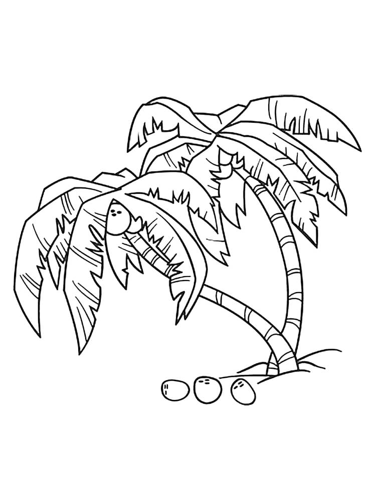 Fun Palm Trees And Coconuts Coloring Page