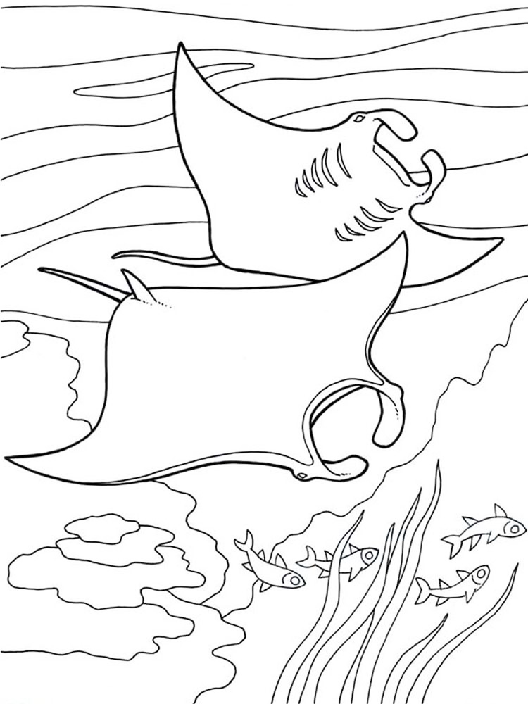 Manta Rays Coloring Page