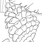 Pine Cone Coloring Pages