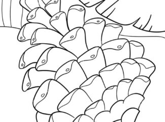 Pine Cone Coloring Pages