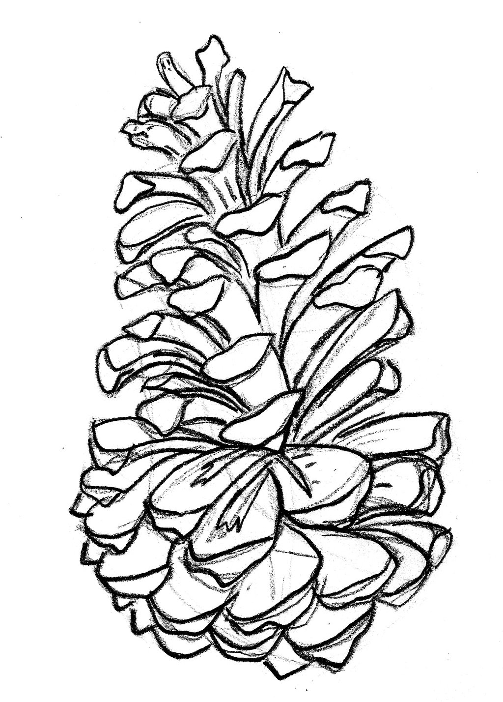 Pine Cone Coloring Pages - Best Coloring Pages For Kids