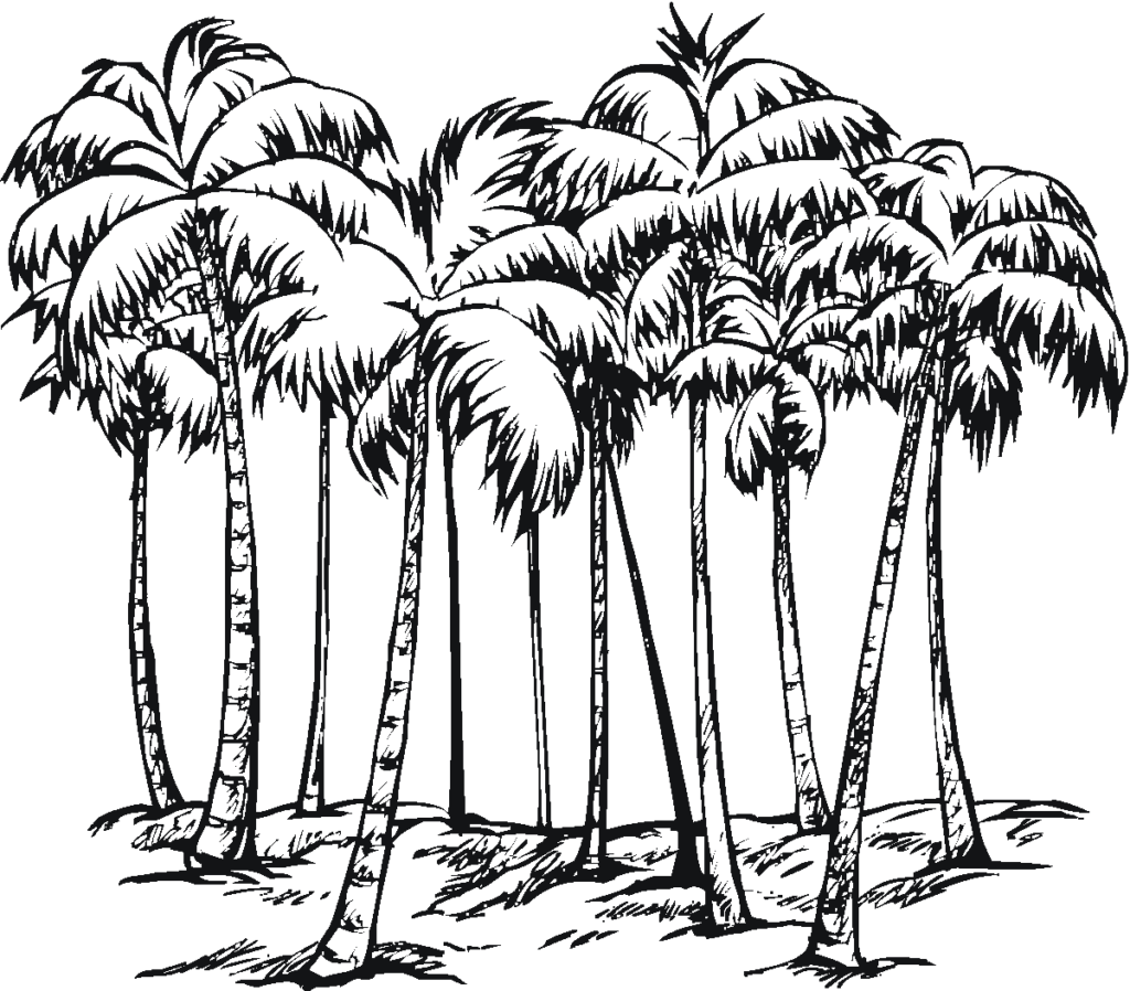 Realistic Palm Trees Coloring Page
