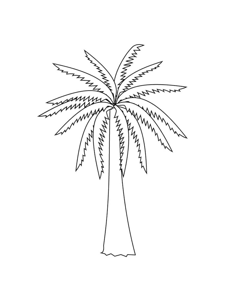 Simple Palm Tree Coloring Page