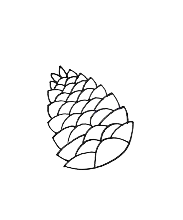 Simple Pine Cone Coloring Page
