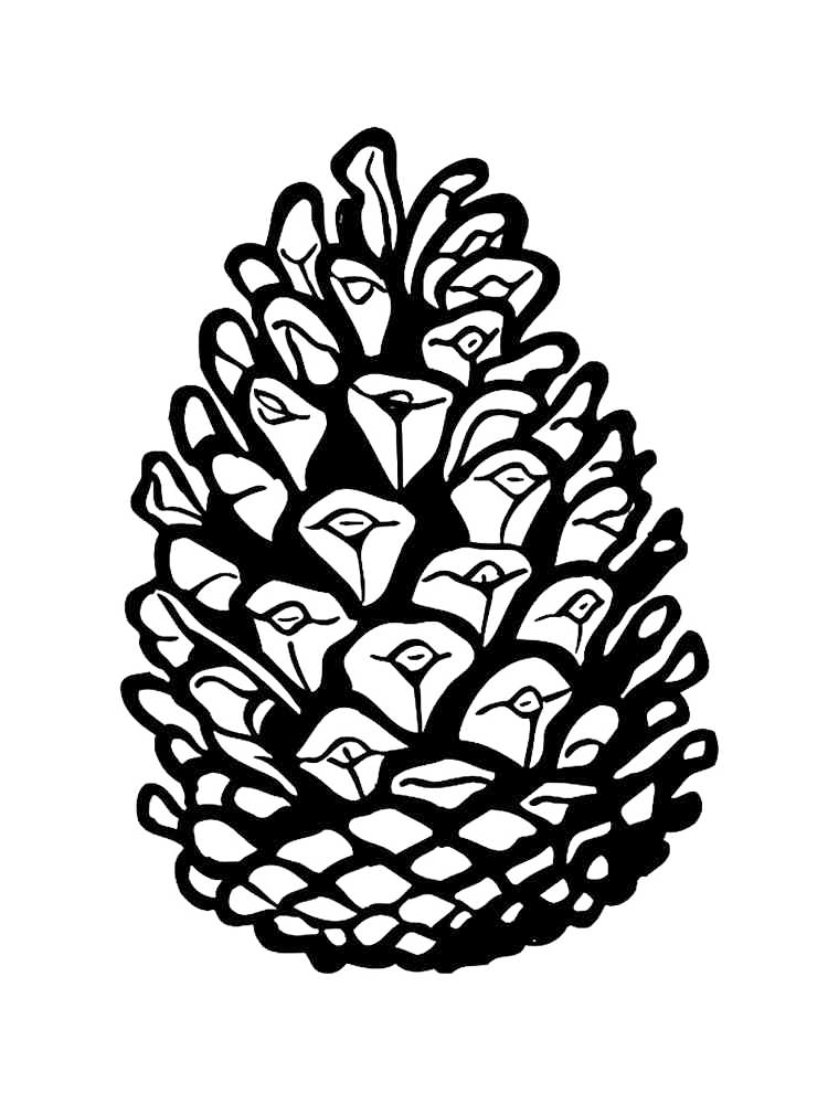 Single Pine Cone Coloring Page