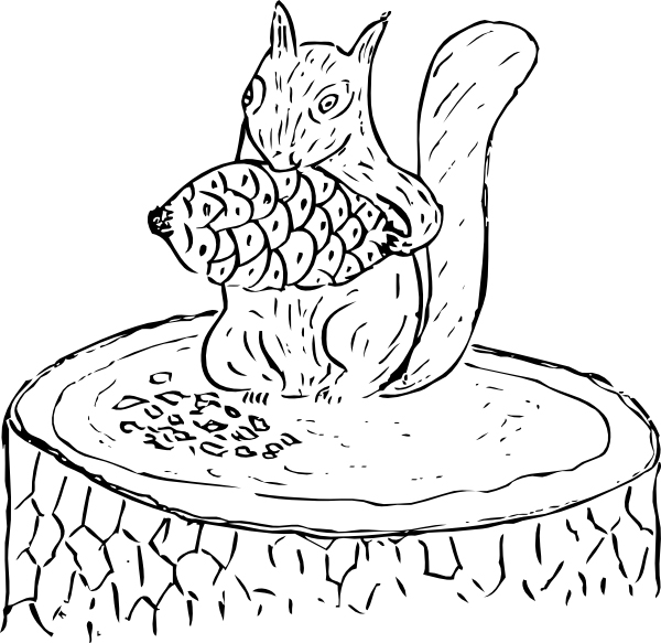 Squirrel Eating Pine Cone Coloring Page