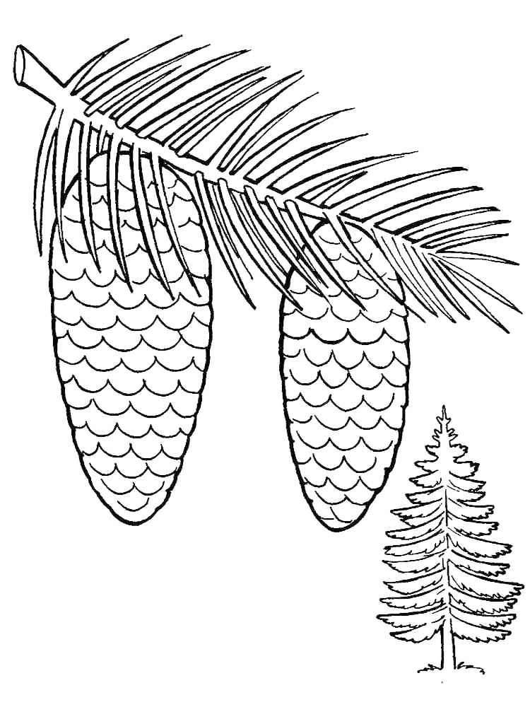 Tree And Pine Cones Coloring Page