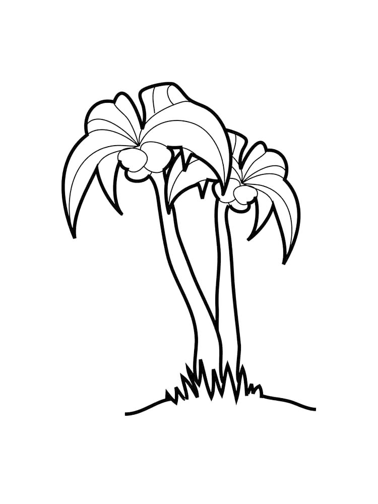 Two Palm Trees Coloring Page