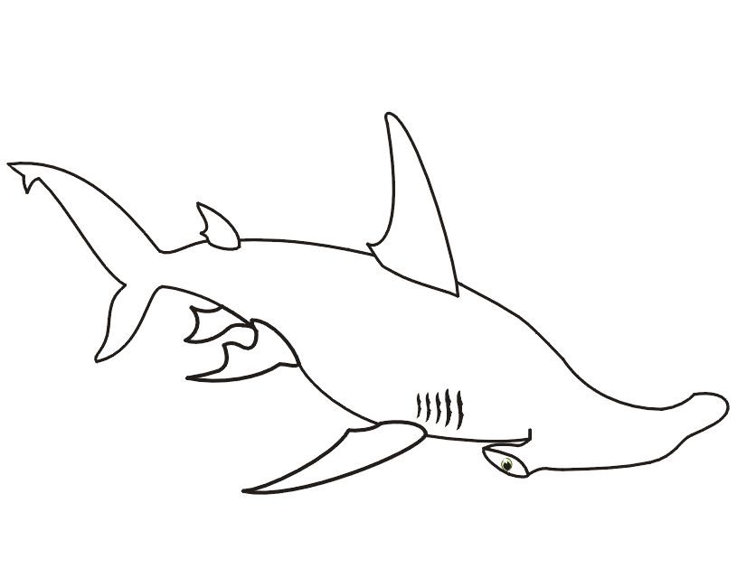 Easy Hammerhead Shark Coloring Page