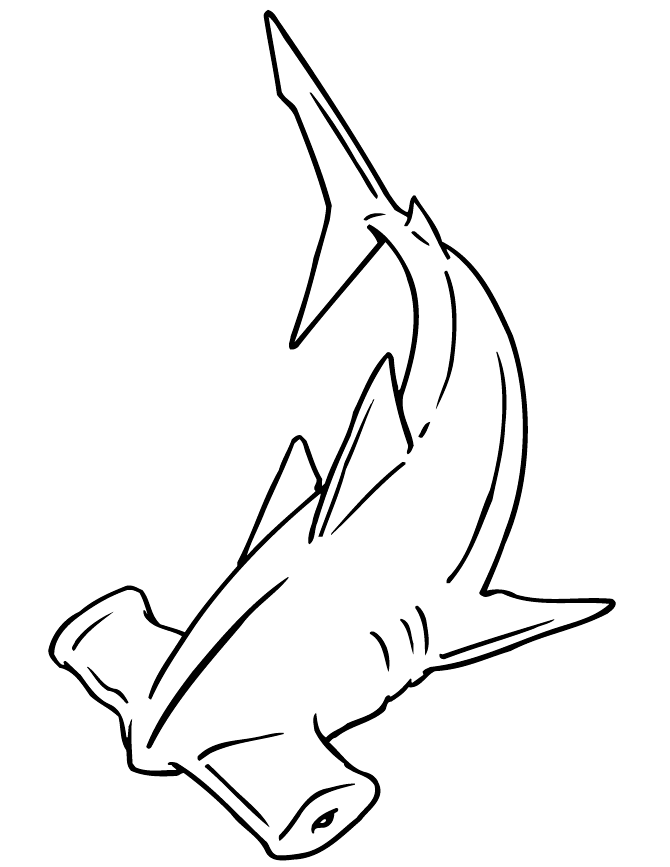 Hammerhead Shark Coloring Pages