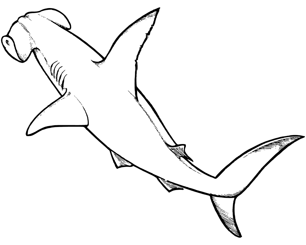 Hammerhead Shark Swimming Coloring Page