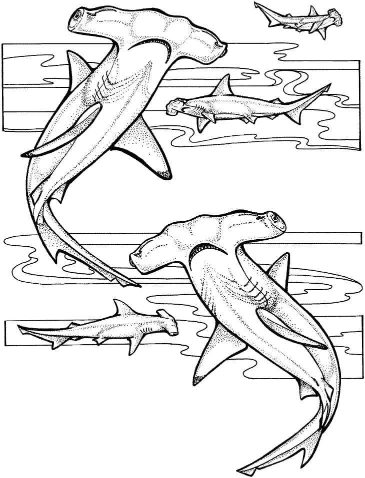 Printable Hammerhead Shark Coloring Page