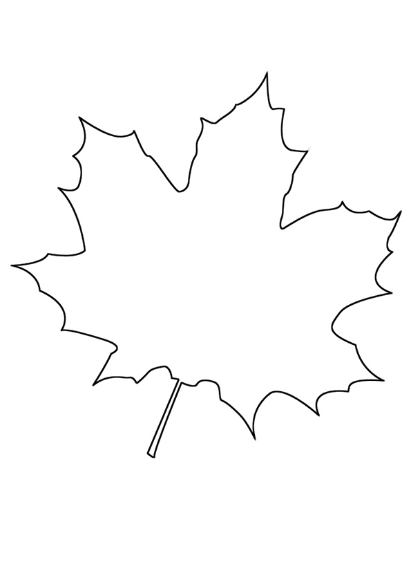 Canadian Maple Leaf Coloring Page