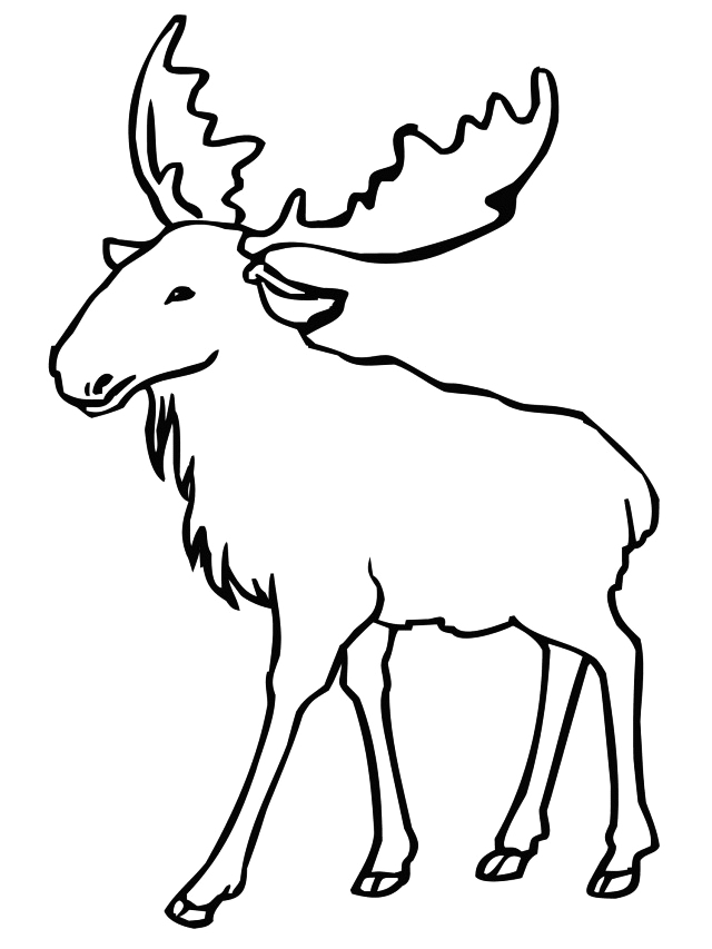 Moose In Canada Coloring Page