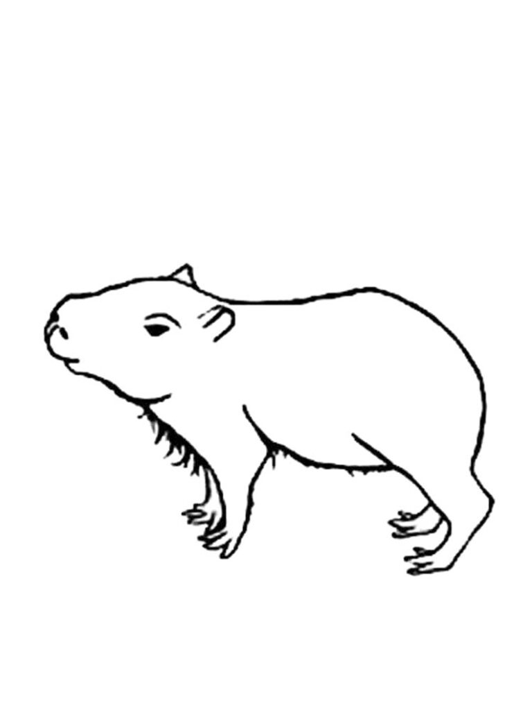 Capybara Coloring Page