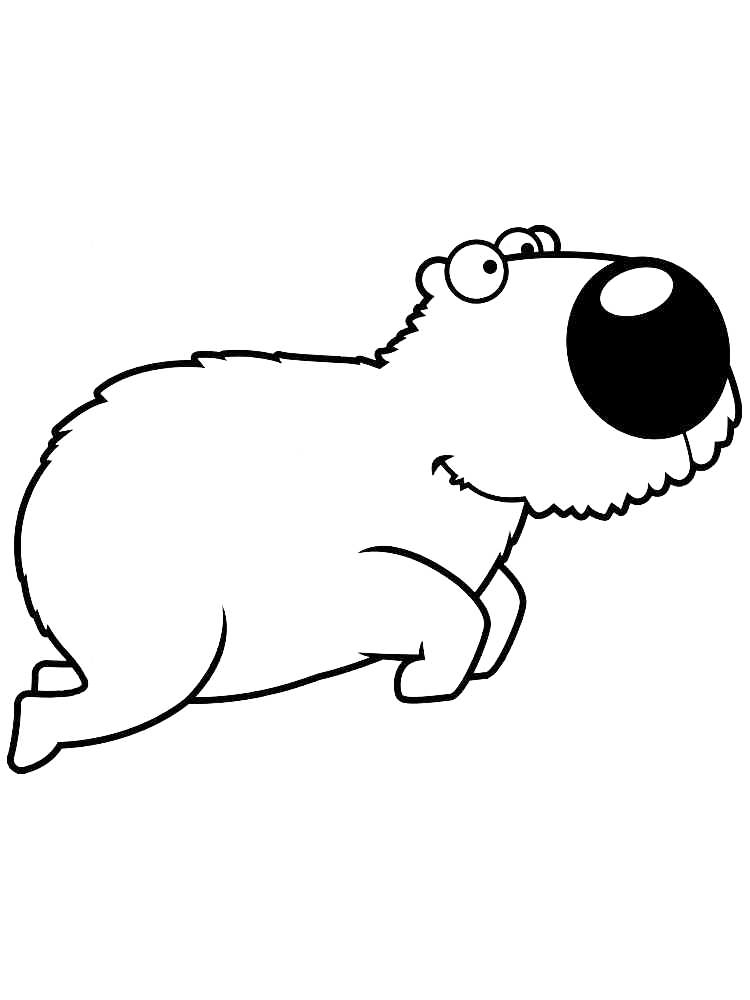 Cute Capybara Coloring Page