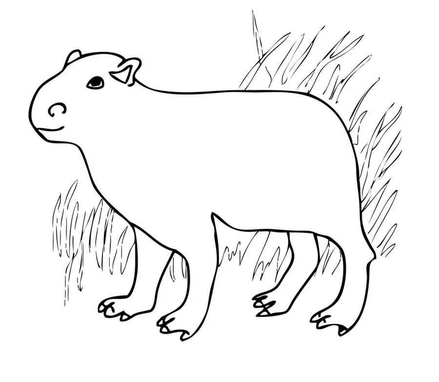 Easy Capybara Coloring Pages