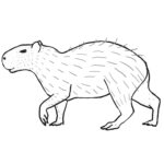 Printable Capybara Coloring Pages