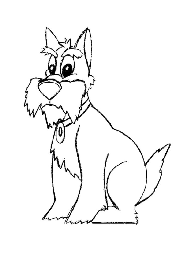 Scottish Terrier Dog Coloring Page