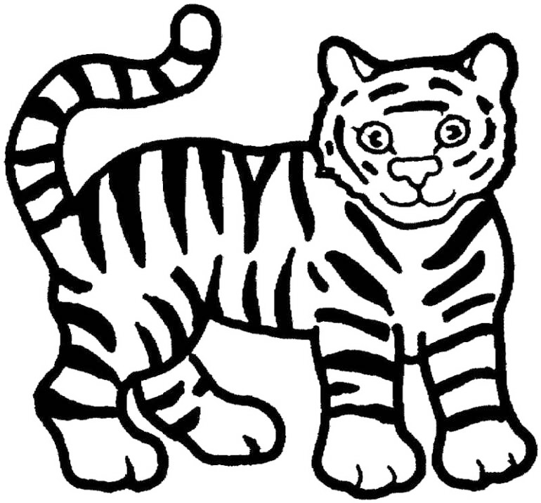 Bengal Tiger In India Coloring Page