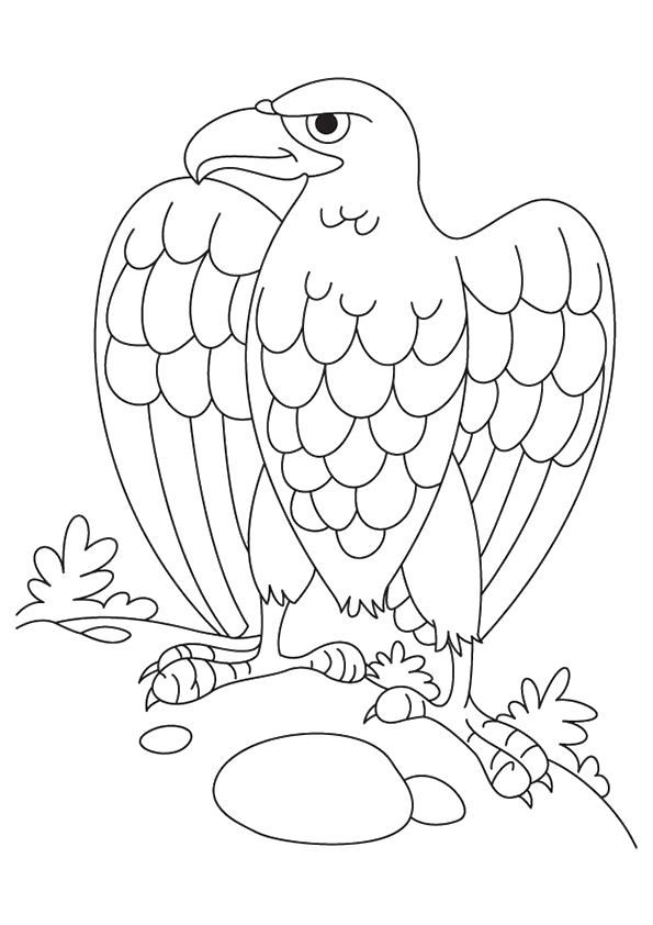 Black Eagle Austria Coloring Page