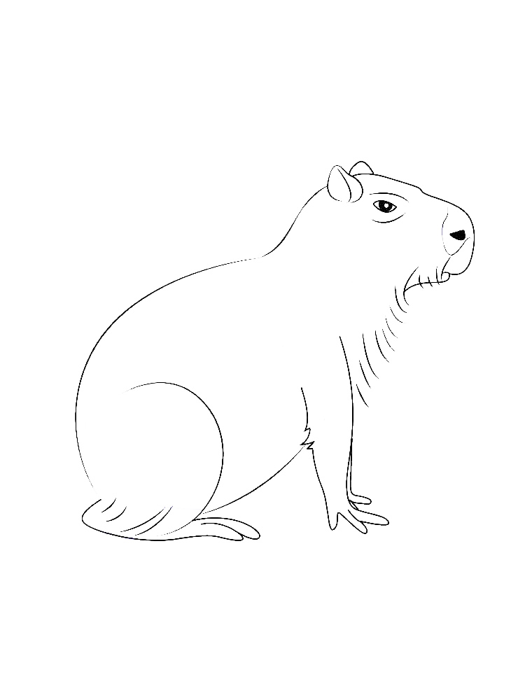 Capybara Native To Brazil Coloring Page