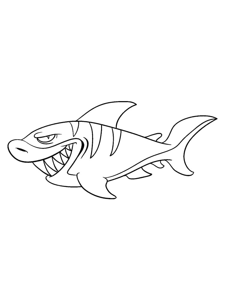 Cartoon Tiger Shark Coloring Page