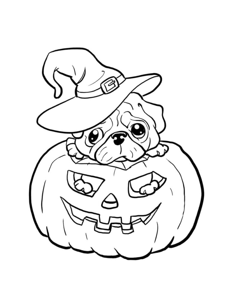 Cute Pug In Jack O Lantern Coloring Page