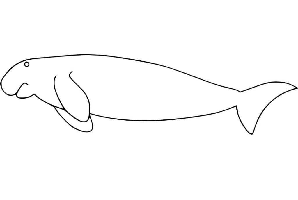 Dugong Coloring Page