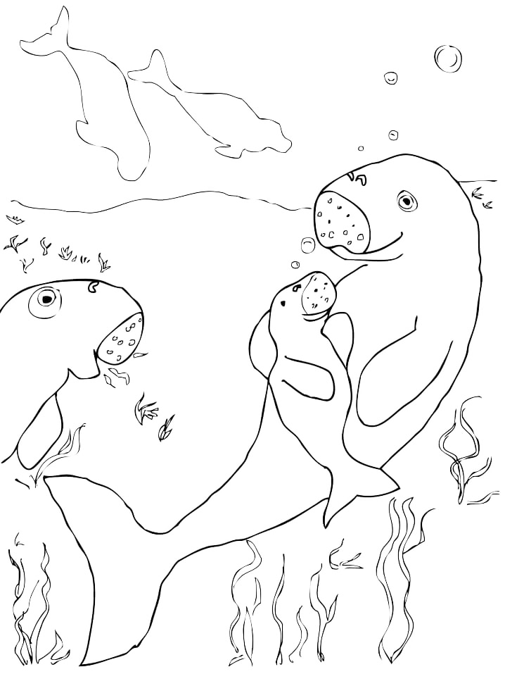 Dugong Family Coloring Page