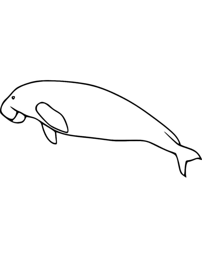 Dugong Outline Coloring Page