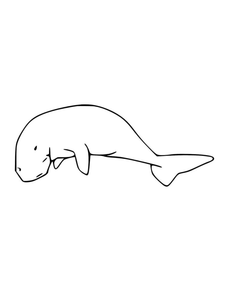 Dugong Sea Cow Coloring Page