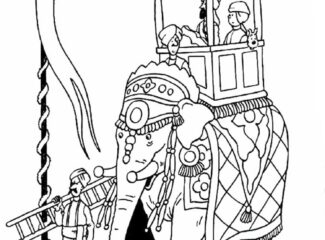 Elephant Ride India Coloring Page