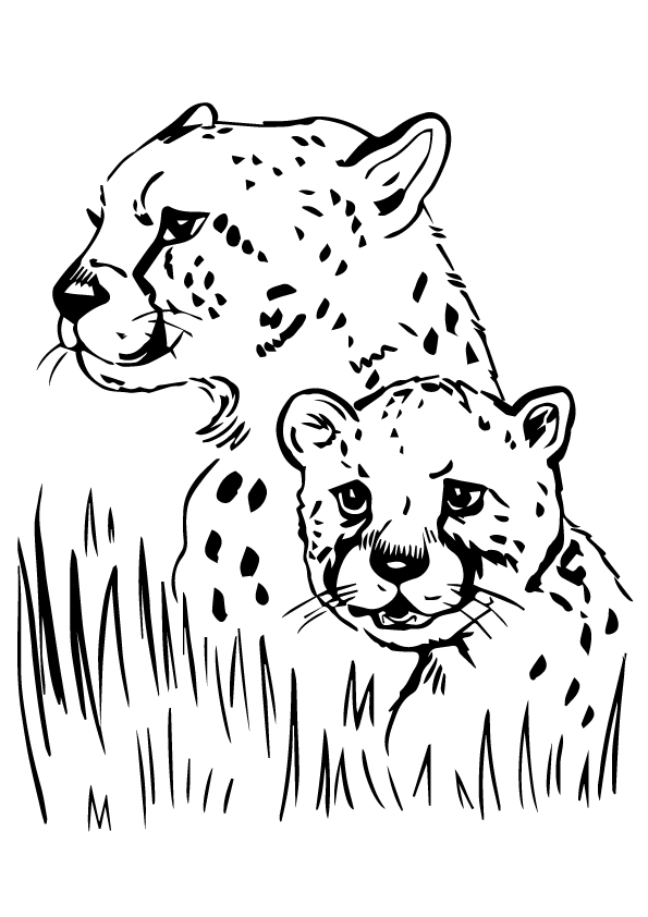 Jaguar In Brazil Coloring Page